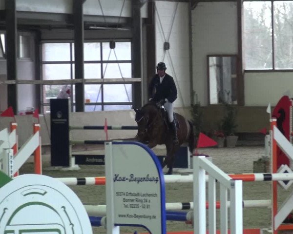 Reitturnier Langenfeld - Gut Langfort 2021