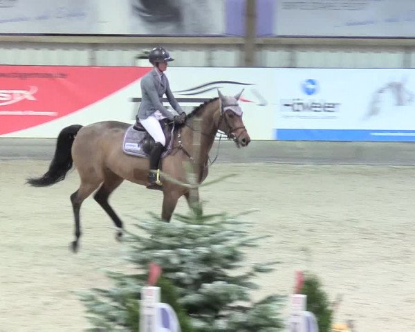 Reitturnier Negernbötel 2021, 8. Nordic Jumping event 2020/2021
