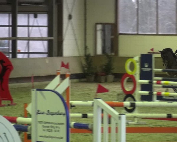 Reitturnier Langenfeld - Gut Langfort 2021