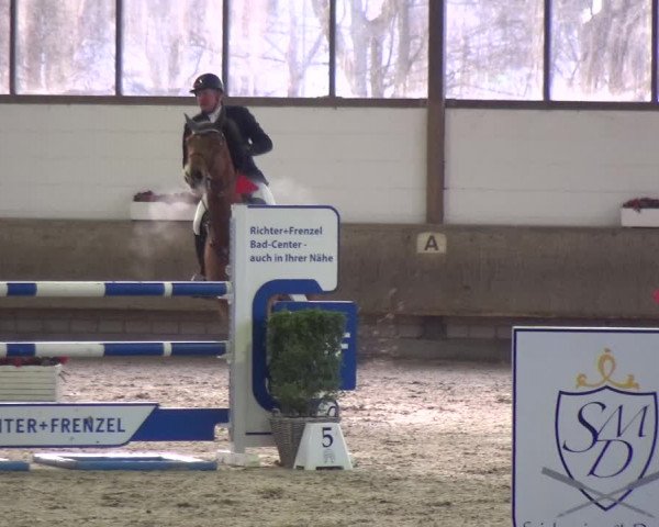 Reitturnier Langenfeld - Gut Langfort 2021