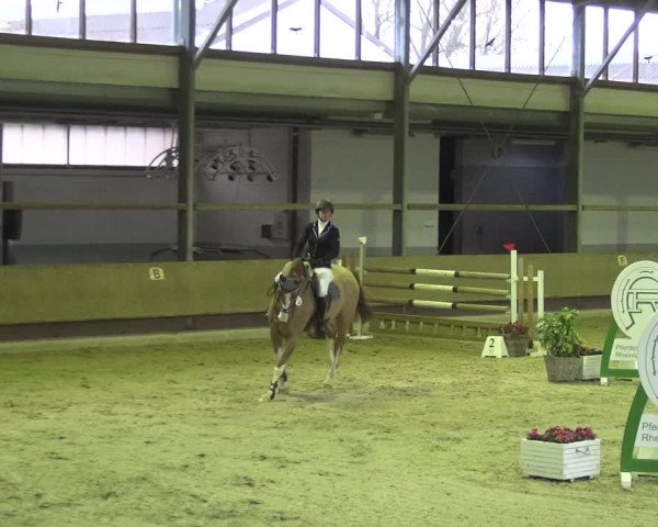 Reitturnier Langenfeld - Gut Langfort 2021
