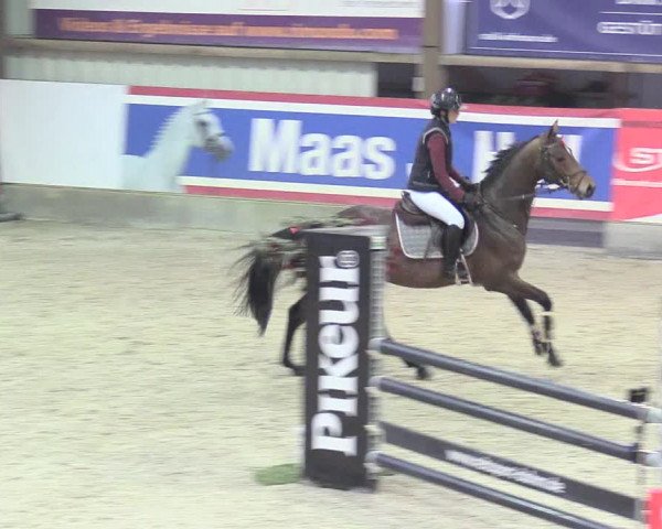 Reitturnier Negernbötel 2021, 8. Nordic Jumping event 2020/2021