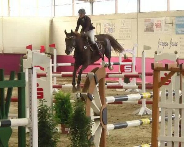 jumper Freaky Frida L (Zweibrücken, 2007, from Fighting Alpha)
