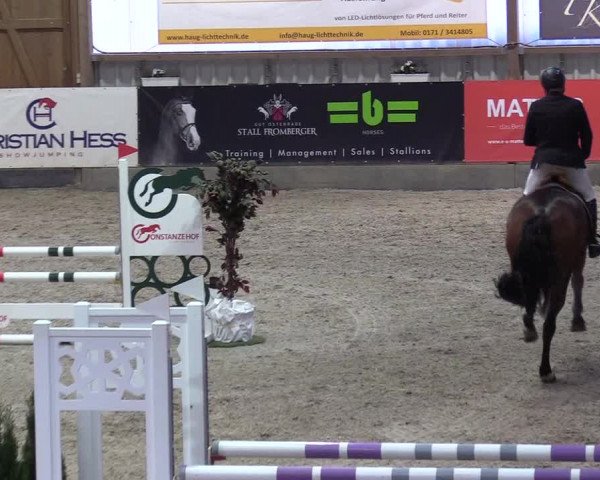 Reitturnier Negernbötel 2021, 8. Nordic Jumping event 2020/2021