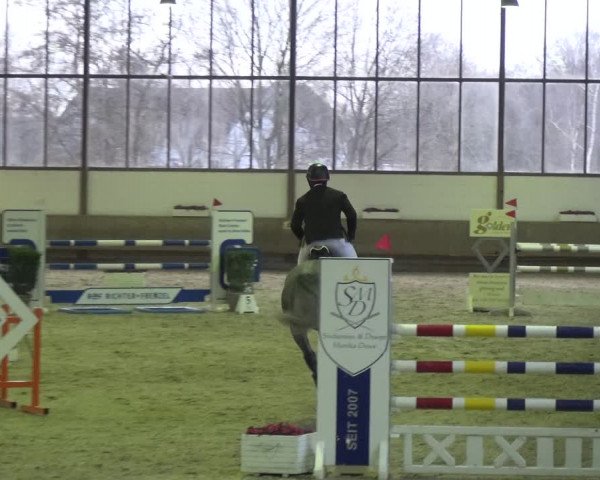 Reitturnier Langenfeld - Gut Langfort 2021
