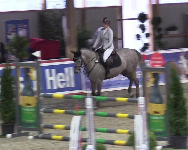 Reitturnier Negernbötel 2021, 8. Nordic Jumping event 2020/2021