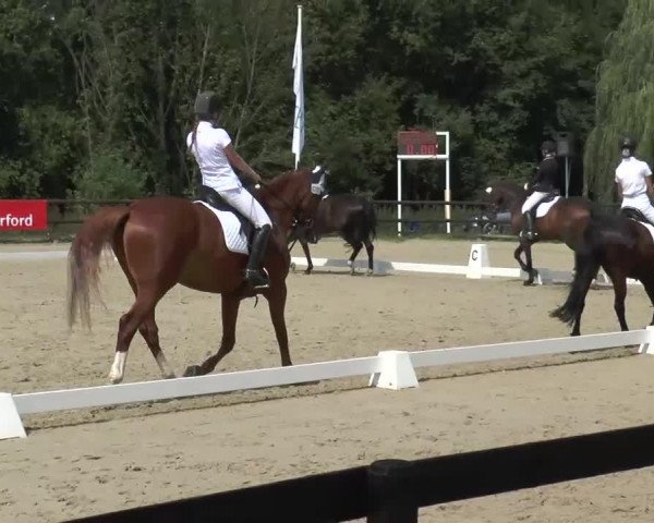 jumper Lanzelot 125 (unknown, 1995)