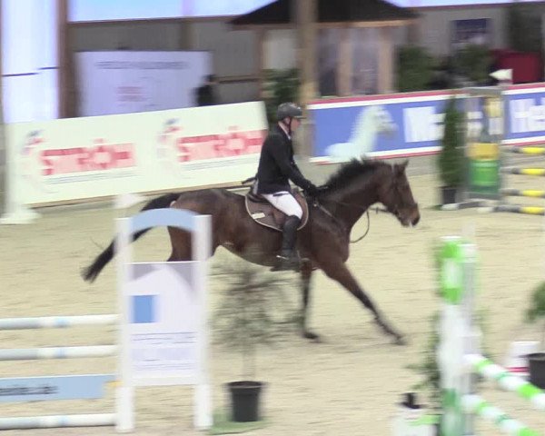 Reitturnier Negernbötel 2021, 8. Nordic Jumping event 2020/2021