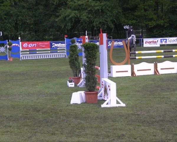 jumper Sligo Oscar (Irish Sport Horse, 2006, from Hello Oscar)