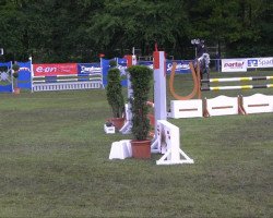 jumper Sligo Oscar (Irish Sport Horse, 2006, from Hello Oscar)