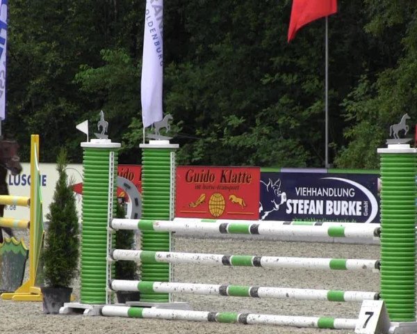 broodmare Jeanny H (German Riding Pony, 2008, from Kennedy WE)