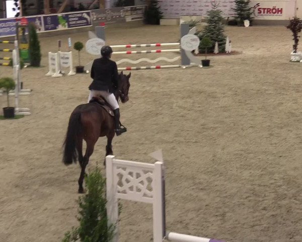 Reitturnier Negernbötel 2021, 8. Nordic Jumping event 2020/2021