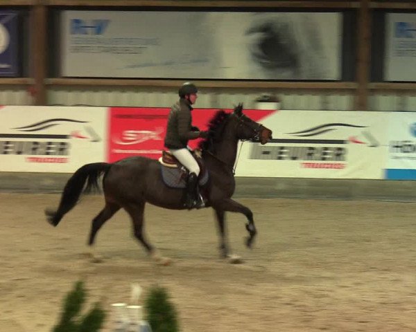Reitturnier Negernbötel 2021, 8. Nordic Jumping event 2020/2021