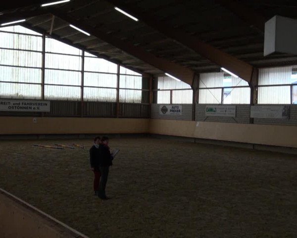 dressage horse Be My Lady O (Westphalian, 2009, from Benetton Dream FRH 1301)