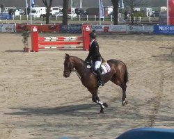 broodmare Cascaya 69 (Westphalian, 2008, from Cayetano L)