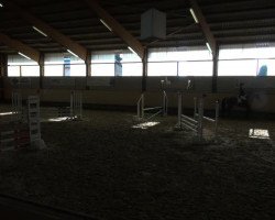 Springpferd Bellevue 106 (Westfale, 2008, von Belissimo NRW)