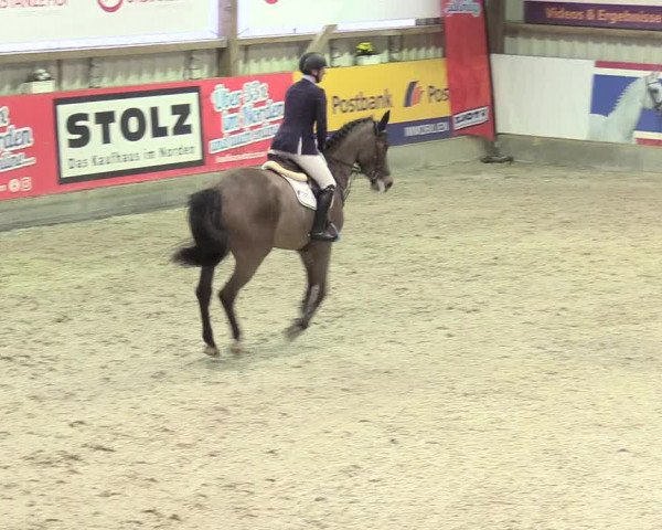 Reitturnier Negernbötel 2021, 8. Nordic Jumping event 2020/2021