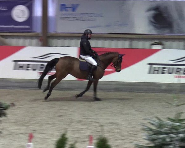 Reitturnier Negernbötel 2021, 8. Nordic Jumping event 2020/2021