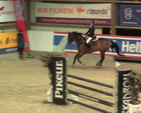 Reitturnier Negernbötel 2021, 8. Nordic Jumping event 2020/2021