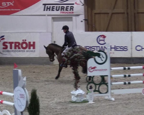 Reitturnier Negernbötel 2021, 8. Nordic Jumping event 2020/2021