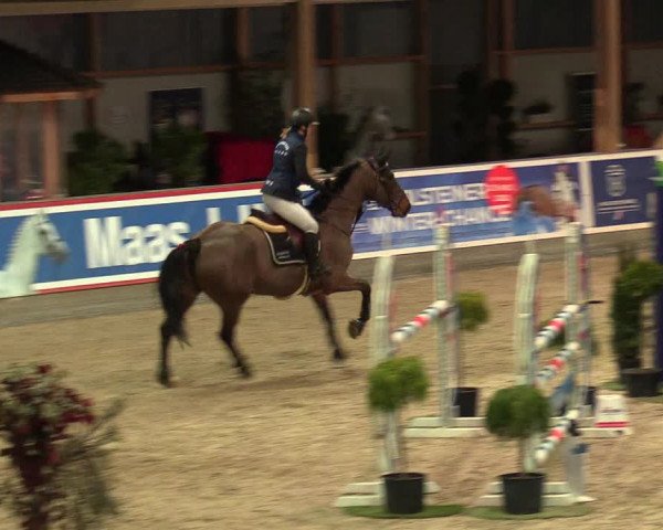 Reitturnier Negernbötel 2021, 8. Nordic Jumping event 2020/2021