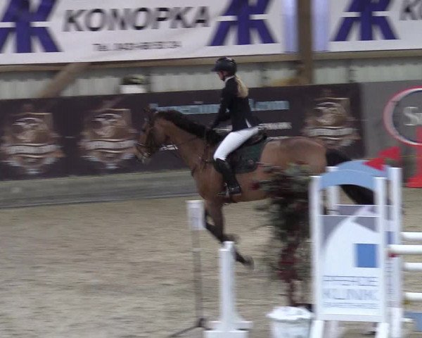 Reitturnier Negernbötel 2021, 8. Nordic Jumping event 2020/2021
