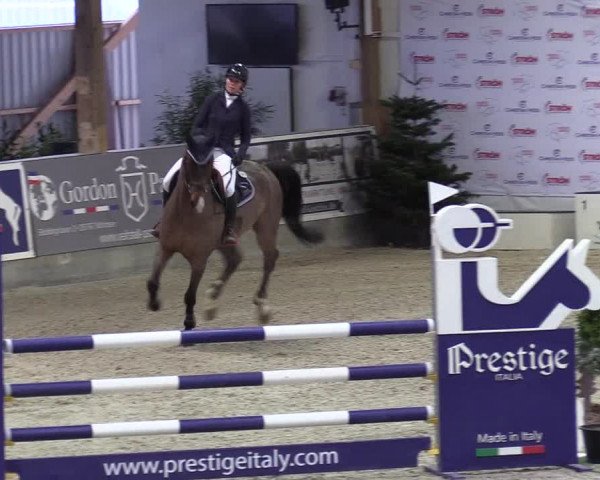 Reitturnier Negernbötel 2021, 8. Nordic Jumping event 2020/2021