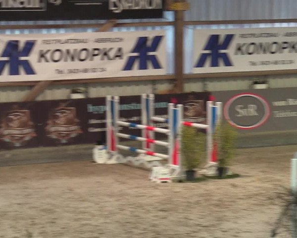 Reitturnier Negernbötel 2021, 8. Nordic Jumping event 2020/2021