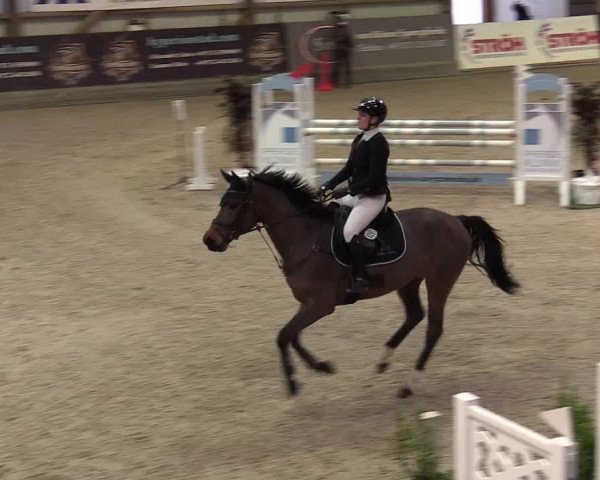 Reitturnier Negernbötel 2021, 8. Nordic Jumping event 2020/2021