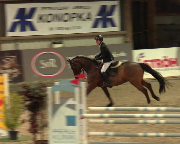 Reitturnier Negernbötel 2021, 8. Nordic Jumping event 2020/2021