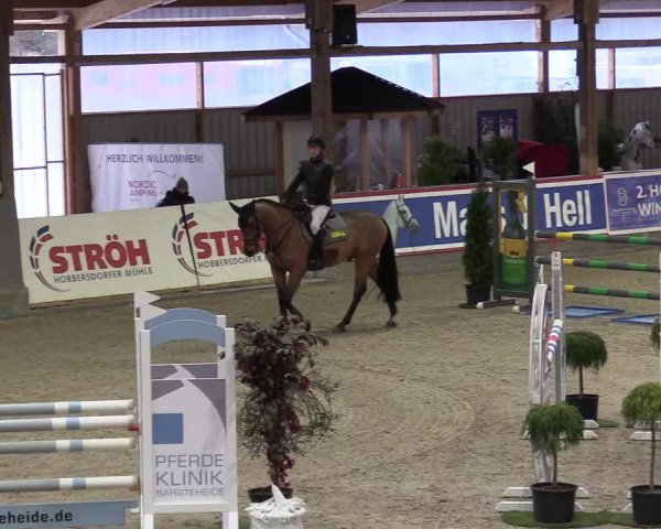 Reitturnier Negernbötel 2021, 8. Nordic Jumping event 2020/2021