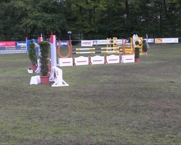 jumper Wajana 32 (Westphalian, 2002, from Walzertakt)