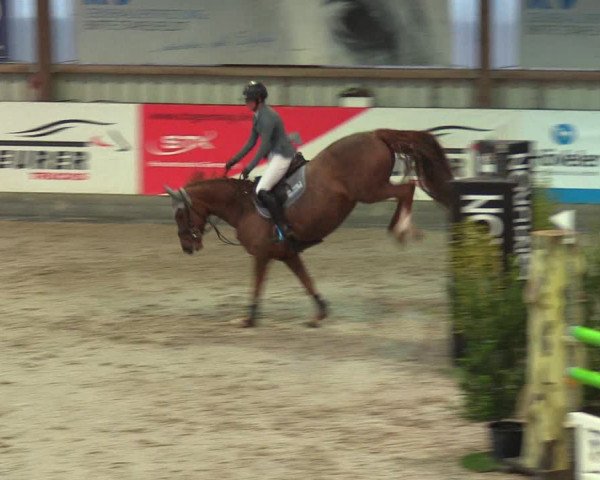Reitturnier Negernbötel 2021, 8. Nordic Jumping event 2020/2021