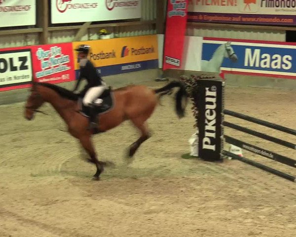 Reitturnier Negernbötel 2021, 8. Nordic Jumping event 2020/2021