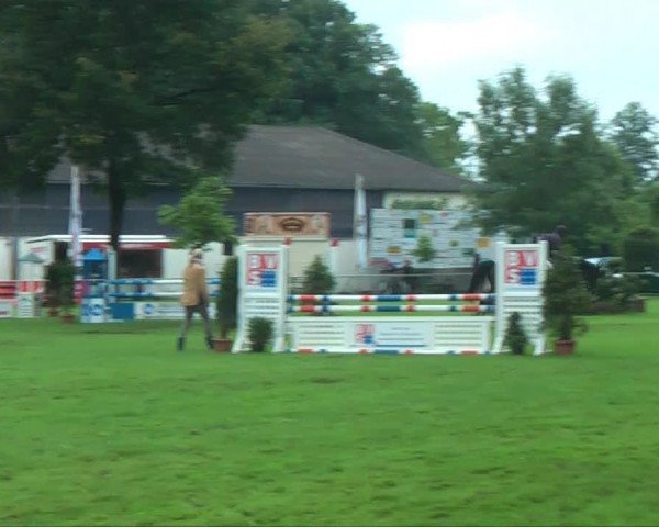 jumper Elmo 19 (Hanoverian, 2007, from Escudo I)