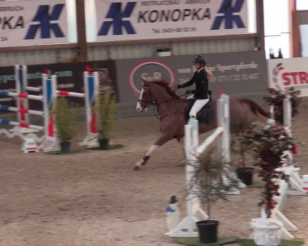 Reitturnier Negernbötel 2021, 8. Nordic Jumping event 2020/2021