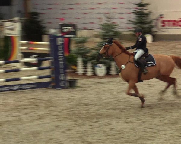 Reitturnier Negernbötel 2021, 8. Nordic Jumping event 2020/2021