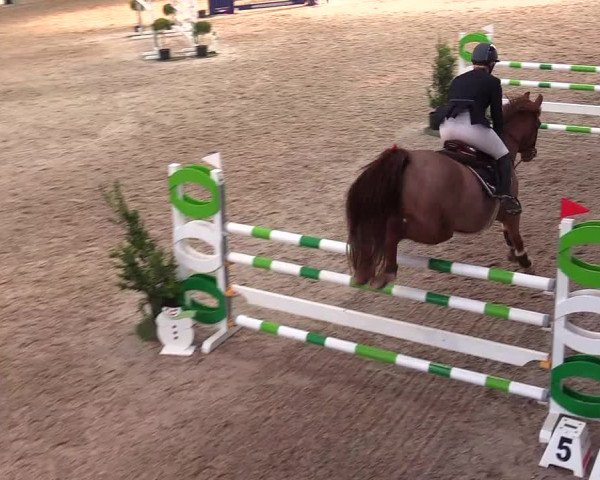 Reitturnier Negernbötel 2021, 8. Nordic Jumping event 2020/2021
