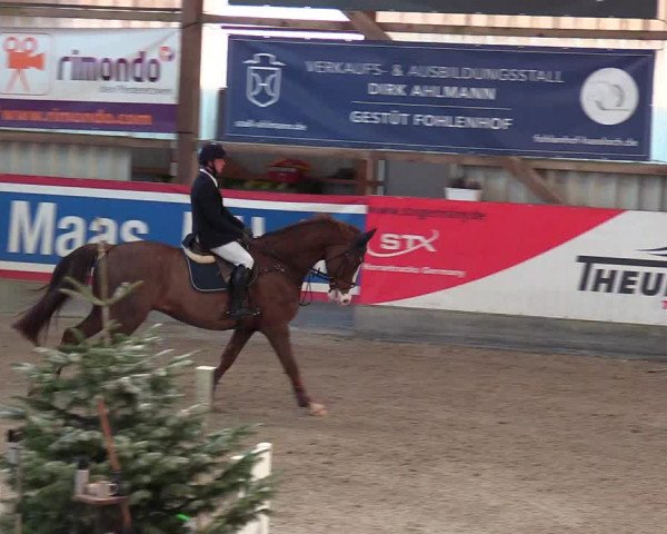 Reitturnier Negernbötel 2021, 8. Nordic Jumping event 2020/2021