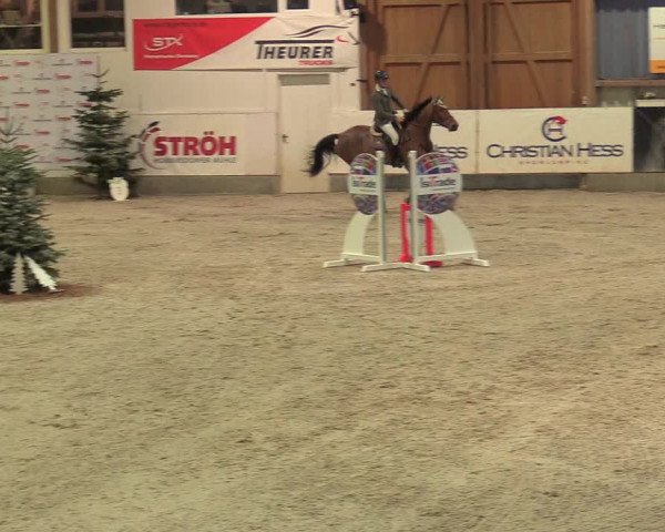 Reitturnier Negernbötel 2021, 8. Nordic Jumping event 2020/2021