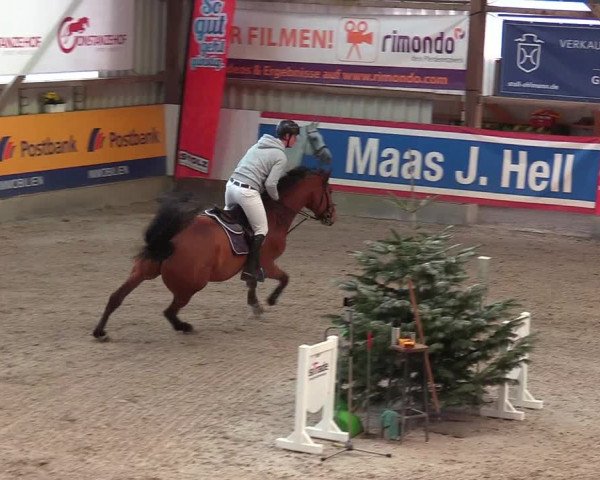 Reitturnier Negernbötel 2021, 8. Nordic Jumping event 2020/2021