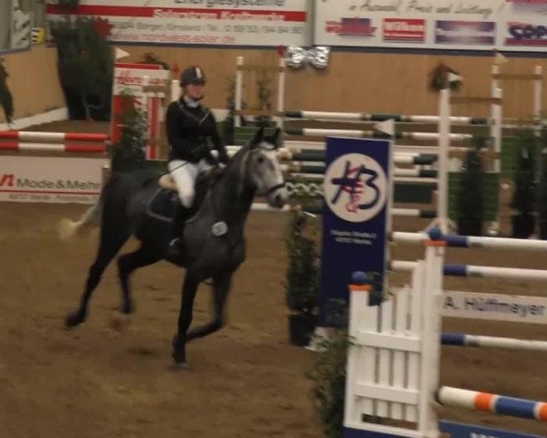 jumper Esmiralda 22 (Oldenburg, 2008, from Elliot van Ter Hulst)