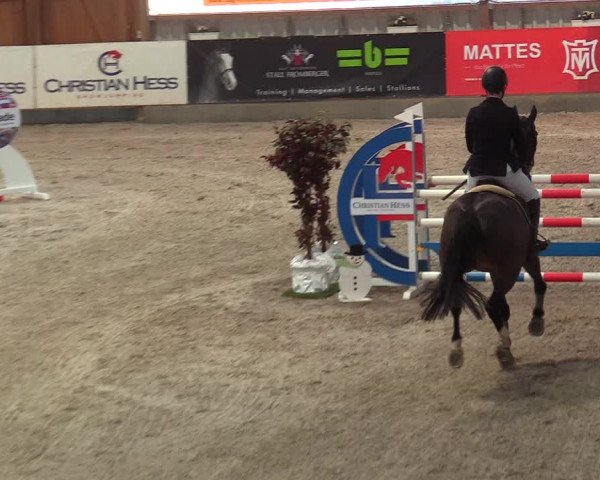 Reitturnier Negernbötel 2021, 8. Nordic Jumping event 2020/2021