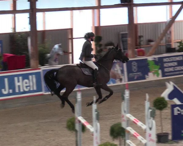 Reitturnier Negernbötel 2021, 8. Nordic Jumping event 2020/2021