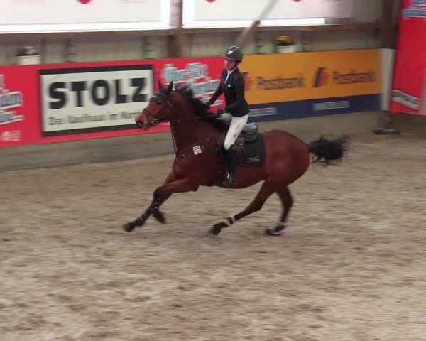 Reitturnier Negernbötel 2021, 8. Nordic Jumping event 2020/2021