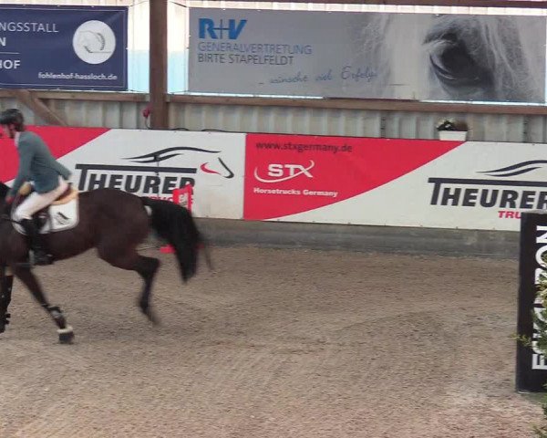 Reitturnier Negernbötel 2021, 8. Nordic Jumping event 2020/2021