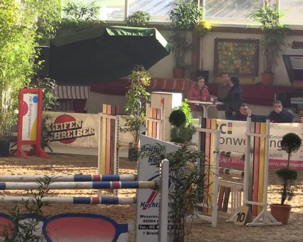 jumper Captain Jack Sparrow (Oldenburg, 2006, from Coupe de Coeur 2)