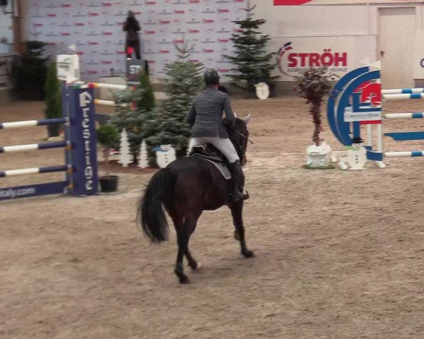 Reitturnier Negernbötel 2021, 8. Nordic Jumping event 2020/2021
