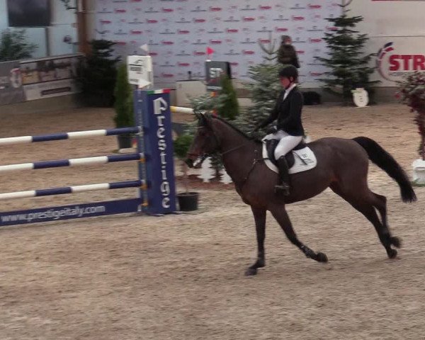 Reitturnier Negernbötel 2021, 8. Nordic Jumping event 2020/2021