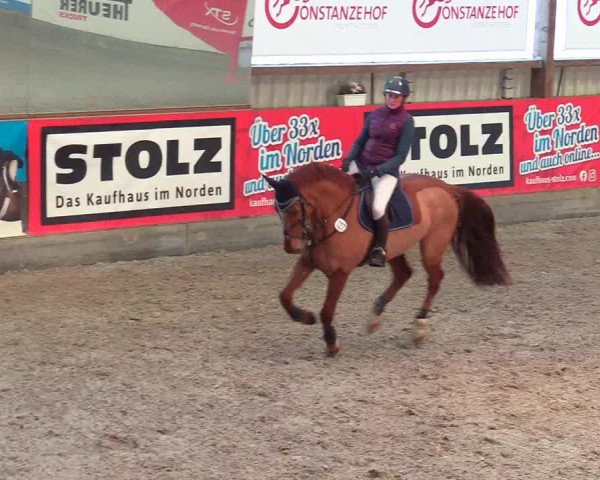 Reitturnier Negernbötel 2021, 8. Nordic Jumping event 2020/2021